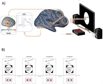 The DLPFC is centrally involved in resolving Stroop conflicts, suppressing distracting sensory input within the auditory and visual system